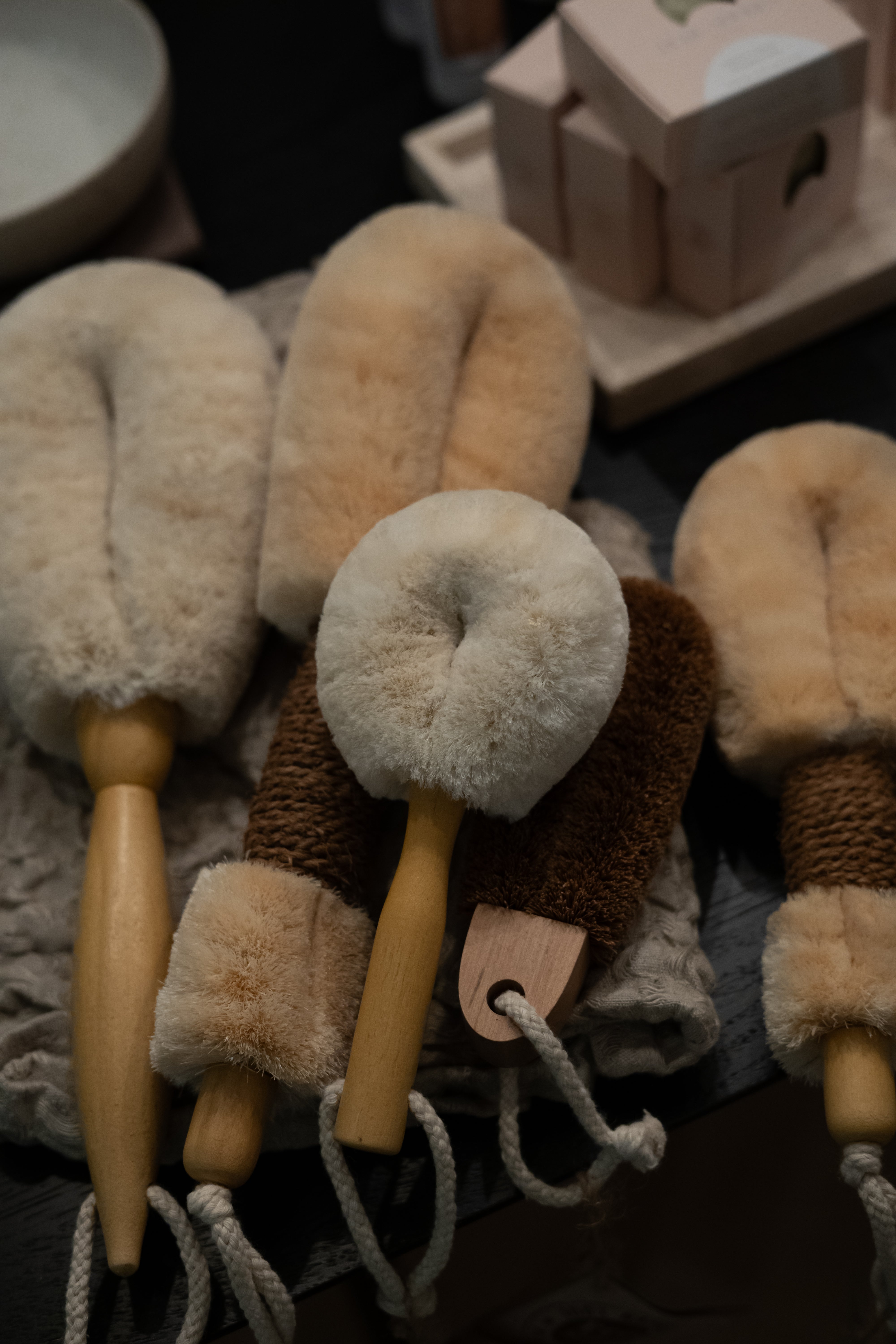Dry Face & Body Brushes